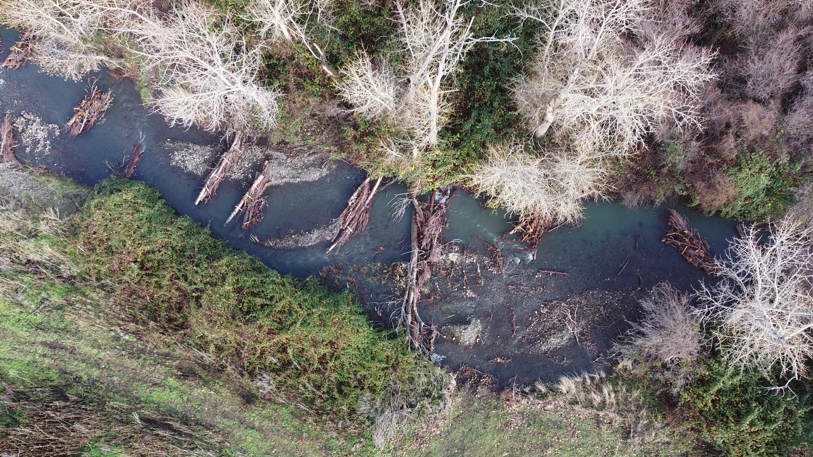 Couse Creek Habitat Enhancement at River Mile 4